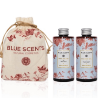 gift-bag-pomegranate