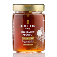 peykomelo-thasou-me-khrhura-450