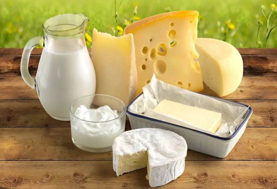 Τυροκομικά-Γαλακτοκομικά