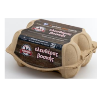 ayga-eleyueras-boskhs